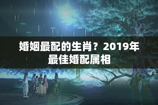 婚姻最配的生肖？2019年最佳婚配属相