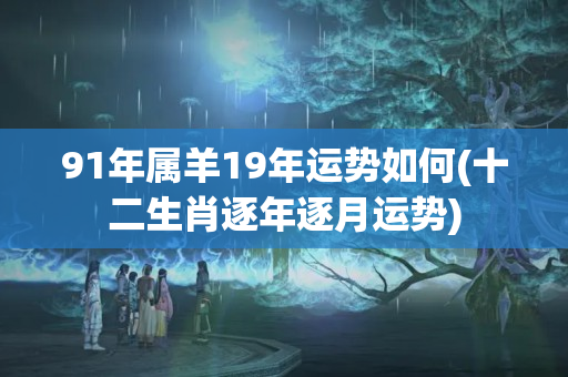 91年属羊19年运势如何(十二生肖逐年逐月运势)