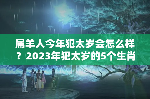 属羊人今年犯太岁会怎么样？2023年犯太岁的5个生肖，需要注意什么