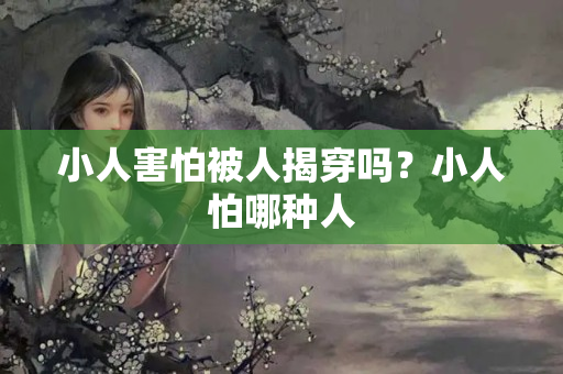 小人害怕被人揭穿吗？小人怕哪种人