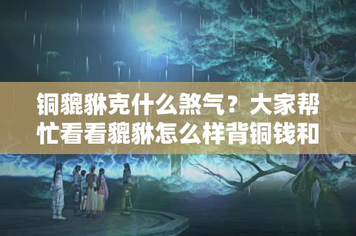 铜貔貅克什么煞气？大家帮忙看看貔貅怎么样背铜钱和踩铜钱有什么讲究嘛