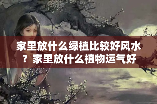 家里放什么绿植比较好风水？家里放什么植物运气好