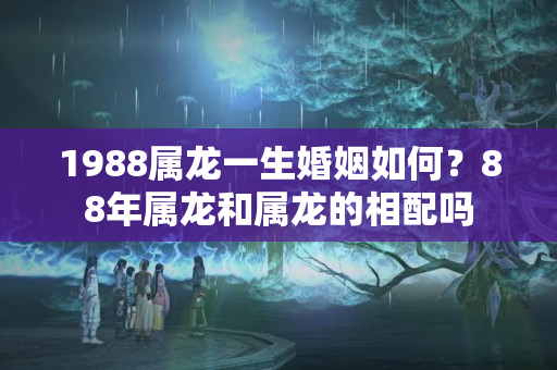 1988属龙一生婚姻如何？88年属龙和属龙的相配吗