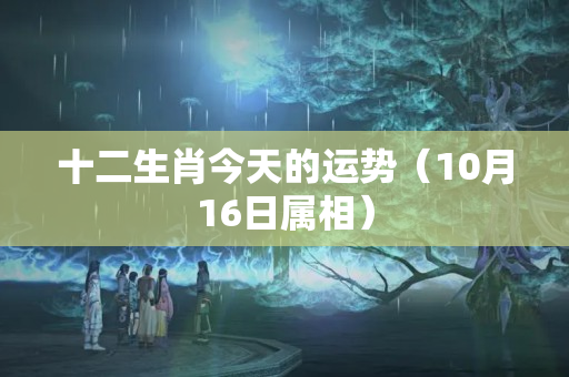 十二生肖今天的运势（10月16日属相）