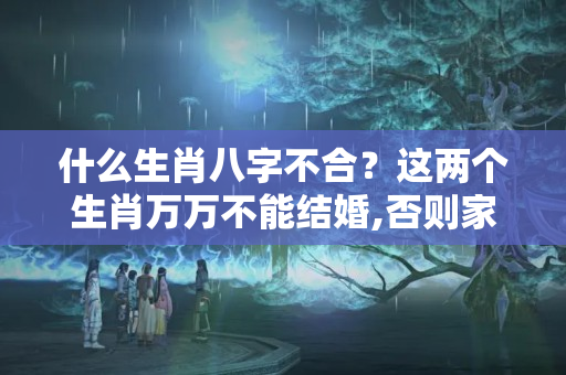 什么生肖八字不合？这两个生肖万万不能结婚,否则家里永远鸡犬不宁!