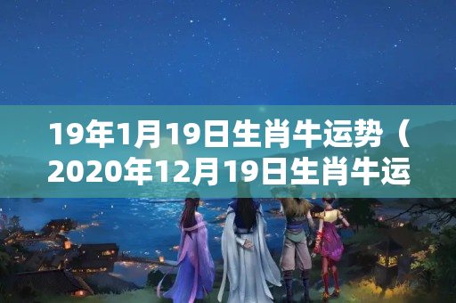 19年1月19日生肖牛运势（2020年12月19日生肖牛运势）