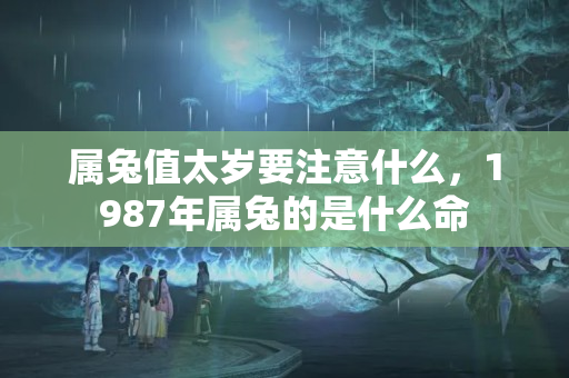 属兔值太岁要注意什么，1987年属兔的是什么命