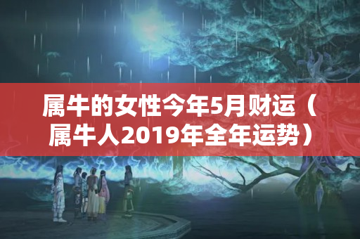 属牛的女性今年5月财运（属牛人2019年全年运势）