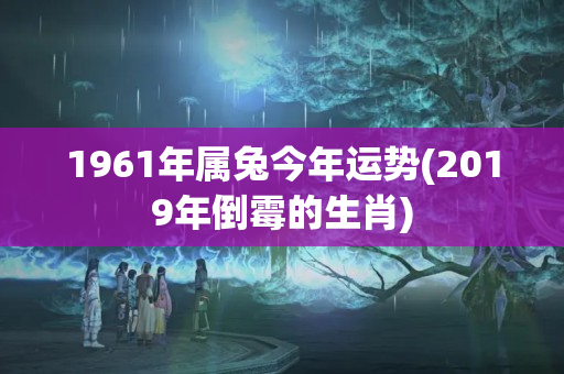 1961年属兔今年运势(2019年倒霉的生肖)