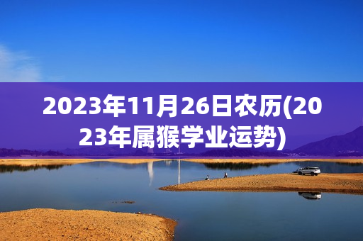 2023年11月26日农历(2023年属猴学业运势)