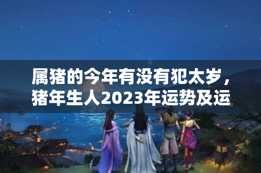 属猪的今年有没有犯太岁，猪年生人2023年运势及运程