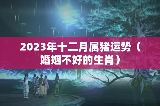 2023年十二月属猪运势（婚姻不好的生肖）