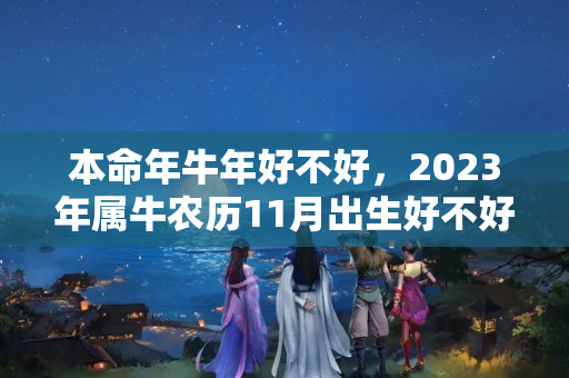 本命年牛年好不好，2023年属牛农历11月出生好不好