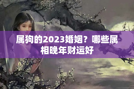 属狗的2023婚姻？哪些属相晚年财运好