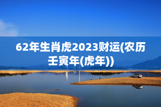 62年生肖虎2023财运(农历壬寅年(虎年))