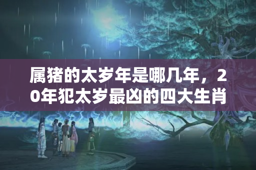 属猪的太岁年是哪几年，20年犯太岁最凶的四大生肖