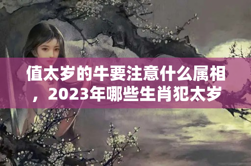 值太岁的牛要注意什么属相，2023年哪些生肖犯太岁？如何化解？