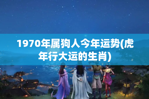 1970年属狗人今年运势(虎年行大运的生肖)