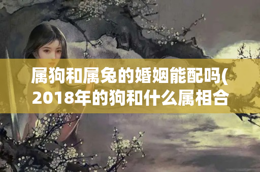 属狗和属兔的婚姻能配吗(2018年的狗和什么属相合)