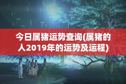 今日属猪运势查询(属猪的人2019年的运势及运程)