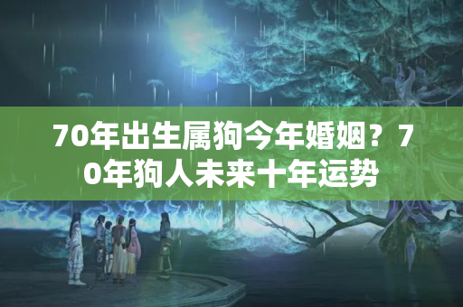 70年出生属狗今年婚姻？70年狗人未来十年运势