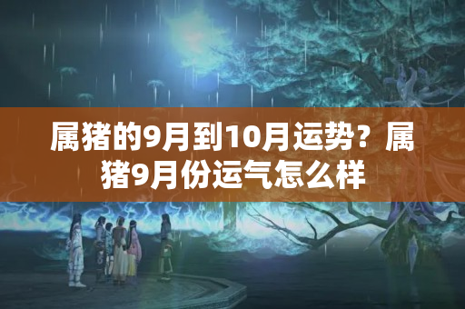 属猪的9月到10月运势？属猪9月份运气怎么样