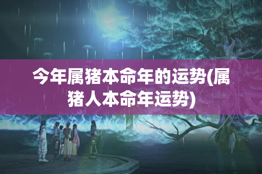 今年属猪本命年的运势(属猪人本命年运势)