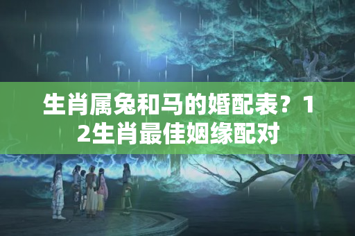 生肖属兔和马的婚配表？12生肖最佳姻缘配对