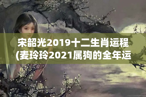 宋韶光2019十二生肖运程(麦玲玲2021属狗的全年运势)