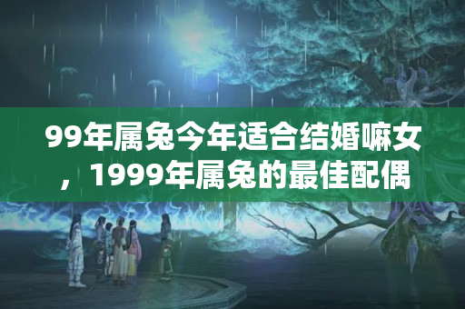 99年属兔今年适合结婚嘛女，1999年属兔的最佳配偶是什么