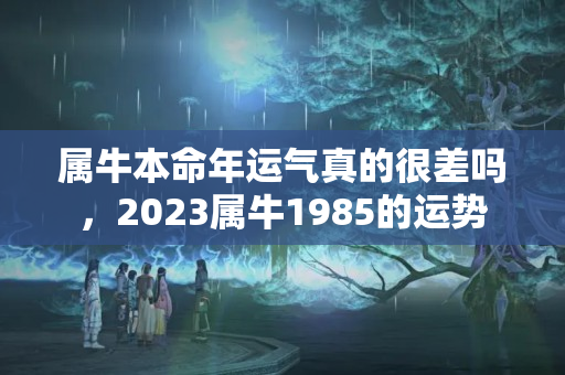 属牛本命年运气真的很差吗，2023属牛1985的运势