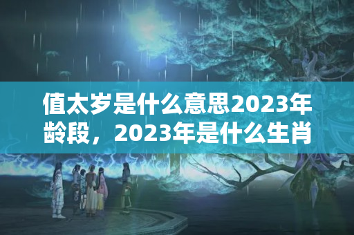 值太岁是什么意思2023年龄段，2023年是什么生肖犯太岁