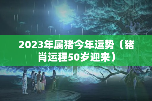 2023年属猪今年运势（猪肖运程50岁迎来）