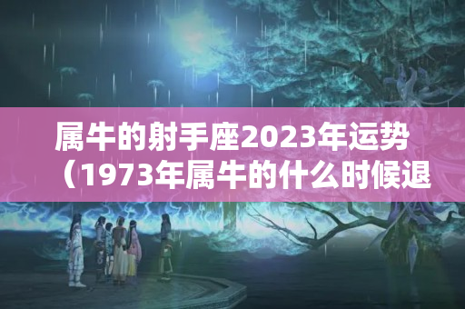 属牛的射手座2023年运势（1973年属牛的什么时候退休）