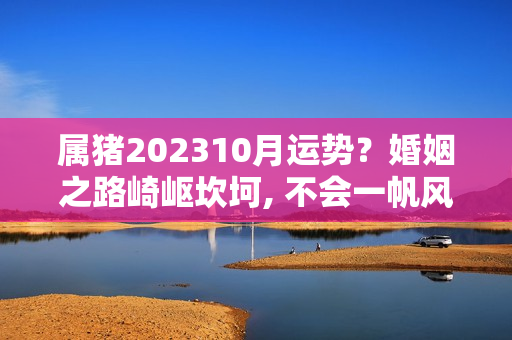 属猪202310月运势？婚姻之路崎岖坎坷, 不会一帆风顺的三大生肖女