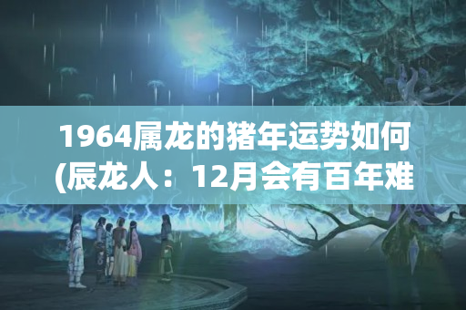 1964属龙的猪年运势如何(辰龙人：12月会有百年难遇的“大事”)