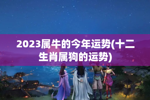 2023属牛的今年运势(十二生肖属狗的运势)