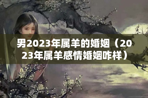 男2023年属羊的婚姻（2023年属羊感情婚姻咋样）