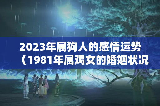 2023年属狗人的感情运势（1981年属鸡女的婚姻状况）