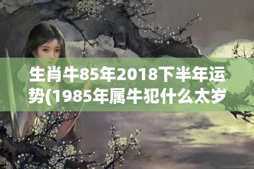 生肖牛85年2018下半年运势(1985年属牛犯什么太岁)