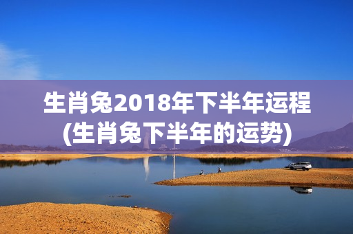 生肖兔2018年下半年运程(生肖兔下半年的运势)