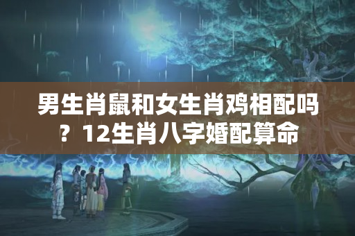 男生肖鼠和女生肖鸡相配吗？12生肖八字婚配算命