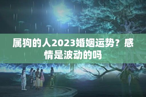 属狗的人2023婚姻运势？感情是波动的吗