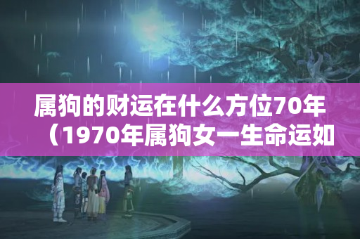 属狗的财运在什么方位70年（1970年属狗女一生命运如何）