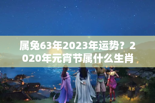 属兔63年2023年运势？2020年元宵节属什么生肖