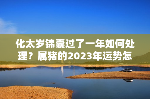 化太岁锦囊过了一年如何处理？属猪的2023年运势怎么样女性