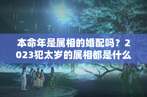 本命年是属相的婚配吗？2023犯太岁的属相都是什么