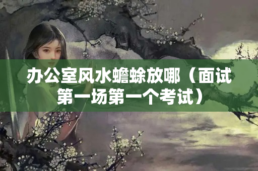 办公室风水蟾蜍放哪（面试第一场第一个考试）