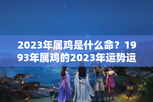 2023年属鸡是什么命？1993年属鸡的2023年运势运程