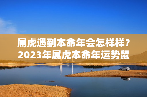 属虎遇到本命年会怎样样？2023年属虎本命年运势鼠运